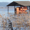 Alluvione Migliarino Pisano #6